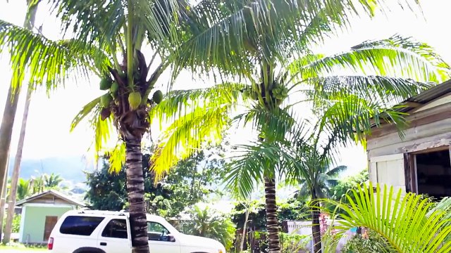 Belize Resort San Antonio Women’s Group Tour - Chaa Creek Eco Lodge