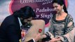 Deepika Padukone To Get Engaged To Ranveer Singh Soon ?