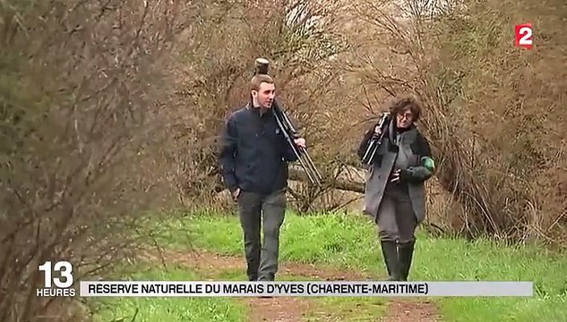 Emploi : François Hollande veut généraliser le service civique