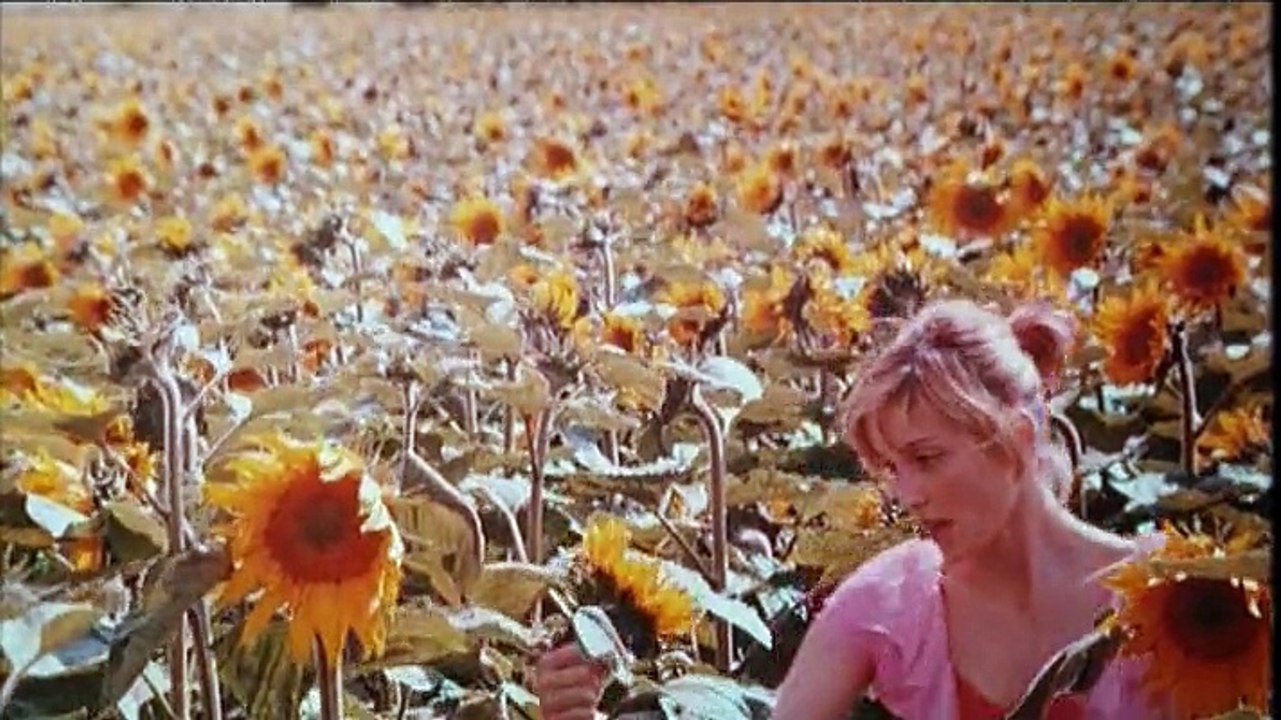 Après la pluie, le beau temps