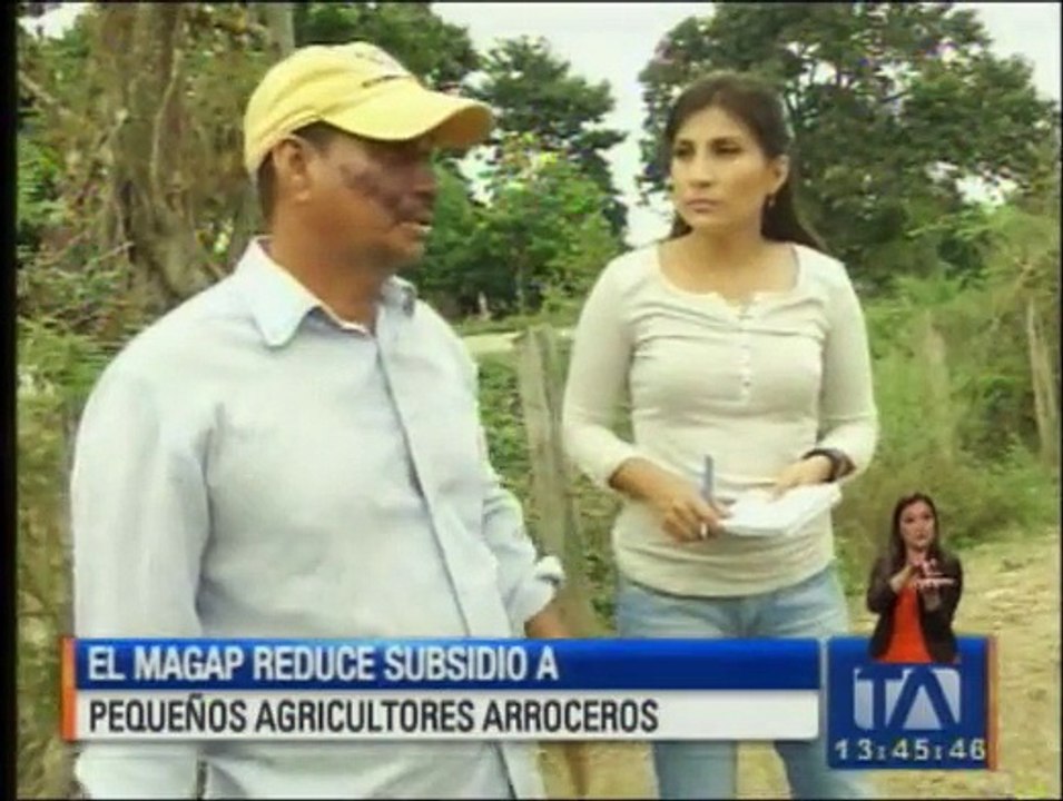Gobierno reduce el subsidio a los pequeños agricultores arroceros