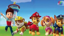 Paw Patrol Finger Family Songs, Nick Jr. - Daddy Finger Nursery Rhymes Collection 30 minut