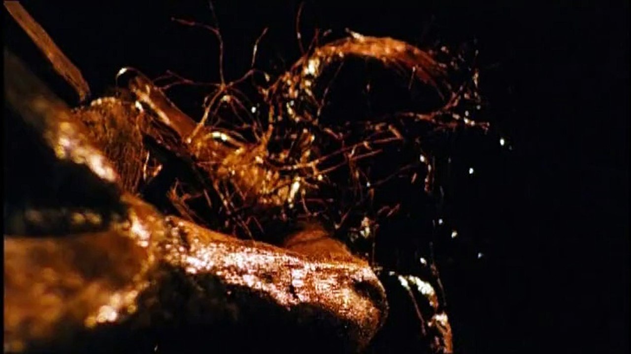 Les Rivières Pourpres 2 : Les anges de l'apocalypse