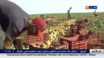 غياب التصدير ..غياب ثقافة او بيروقراطية في التسيير !!