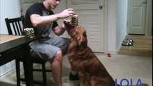 Dog Biscuit Jenga on His Nose!