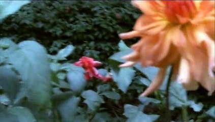 Le Scaphandre et le Papillon