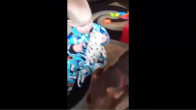 This Baby Has The Most Adorably Villainous Laugh