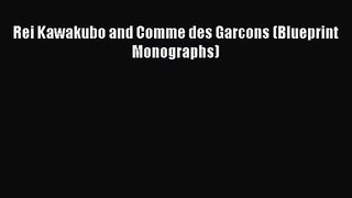 [PDF Download] Rei Kawakubo and Comme des Garcons (Blueprint Monographs) [Download] Online