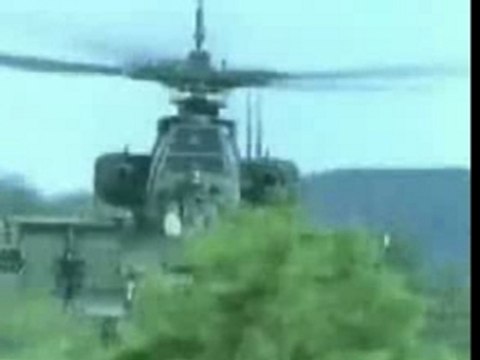 Camarade (Les Sales Majestés)