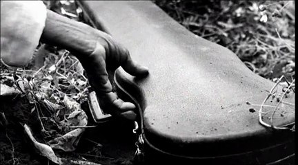 Le Violon