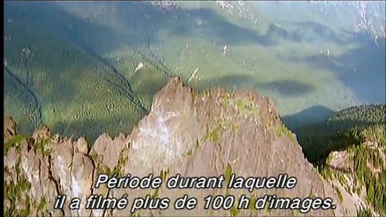 Grizzly Man