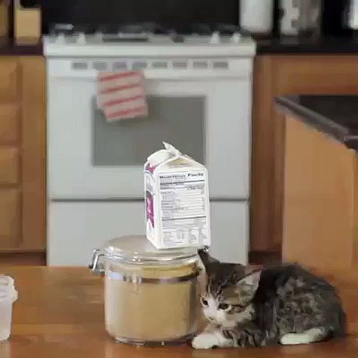 Funny Video Clips - Funny Video 8