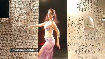 Superb hot sexy arabic Belly Dance 2015