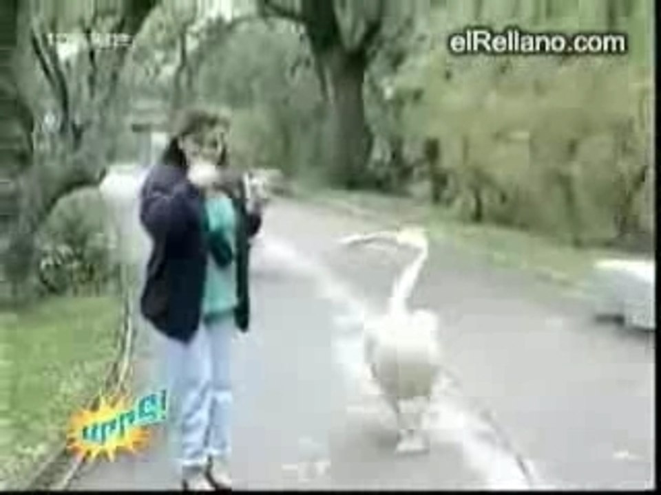 Compilation drôle d'accident