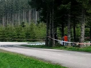 rallye alsace-vosges 2006 206 wrc trés large!