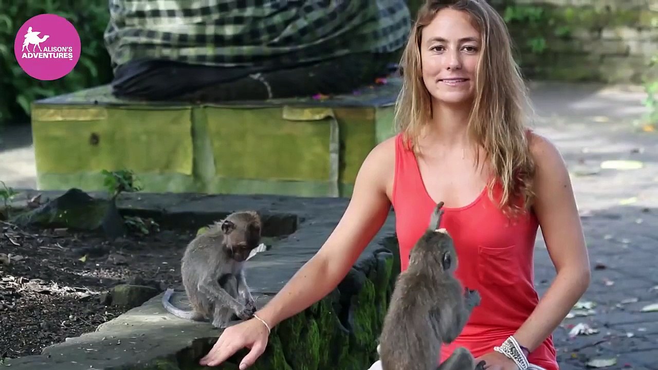 Alison Teal Molested by a Monkey