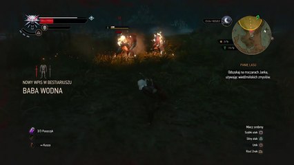 Wiedzmin 3- Dziki Gon_20160111170619