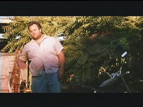 Libres comme le vent