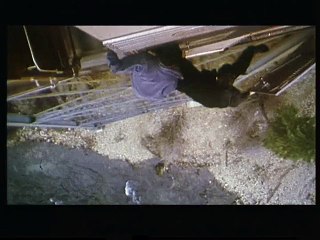 Piège à grande vitesse