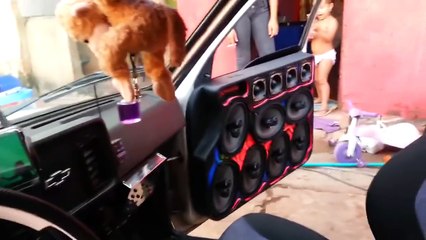 Chevette 6 Cara Preta 14 6x9 MTX