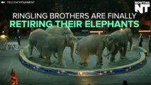 Ringling Brothers Are Retiring All Their Elephants