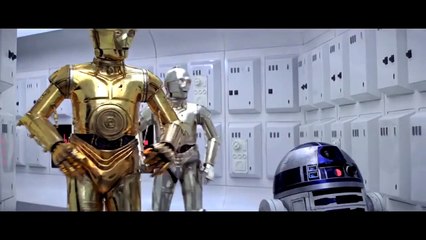 Watch ‘The Force Awakens’ Cast Answer Whether BB-8 Is a Boy or a Girl