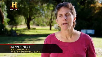 History Channel - İnsanlardan Sonra Hayat - Son Yemek