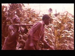 Terreur sur la savane