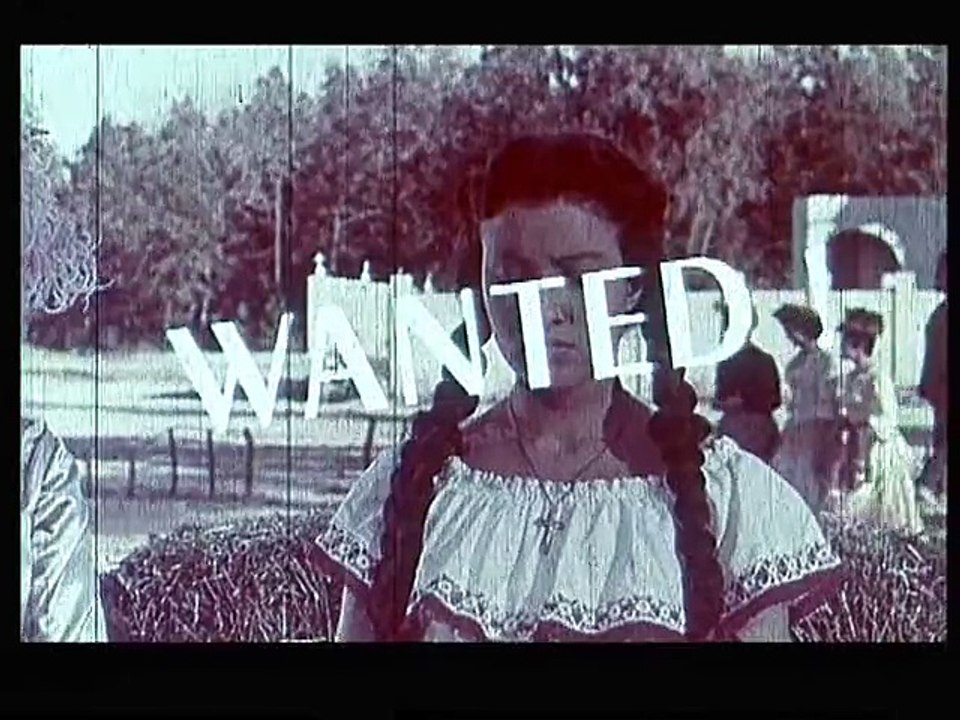 Cinq pistolets roses