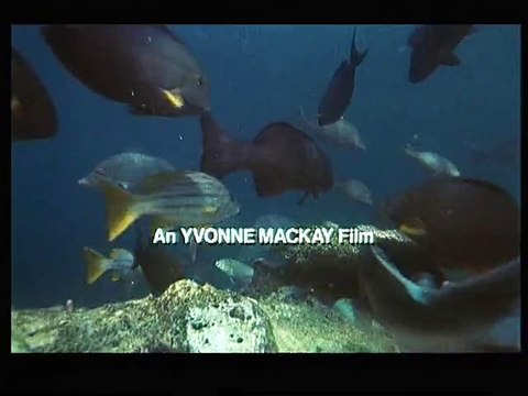 La Légende du lagon