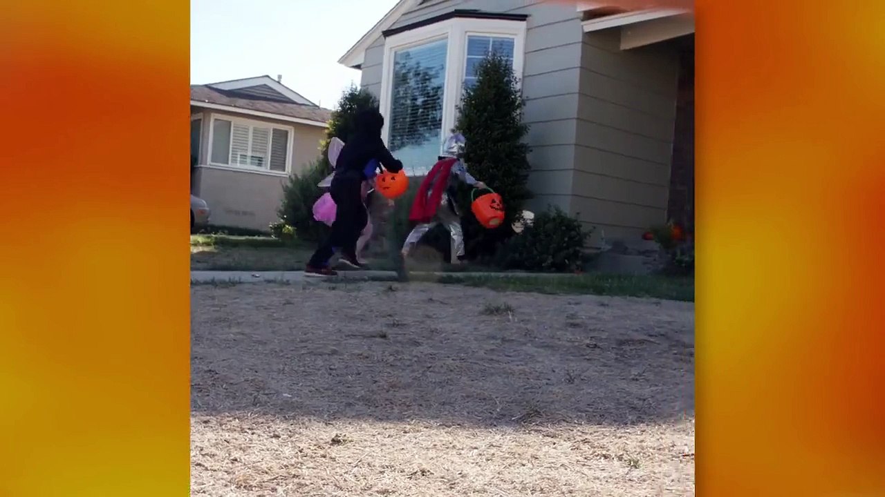 the Halloween Candy Thief