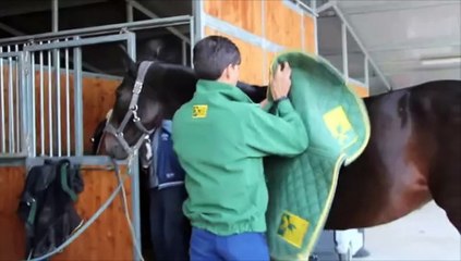 circolo ippico il cigliegio ok