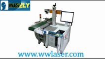 fiber Laser marking & engraving machine with automation conveyor from Wisely Laser