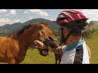 ЛУЧШИЕ ПРИКОЛЫ 2015 НОЯБРЬ. САМЫЕ СМЕШНЫЕ ПРИКОЛЫ   Выпуск 59
