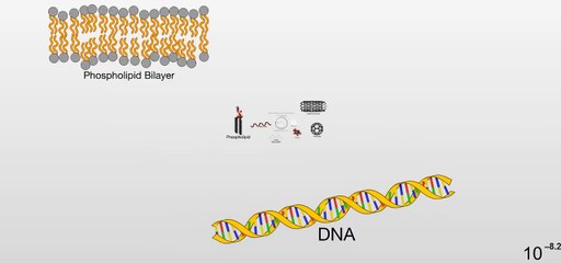 Những thứ Nhỏ nhất cho tới Lớn nhất trong vũ trụ (HD)-- Vũ trụ lớn cỡ nào