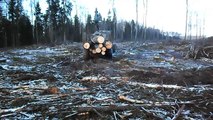 Tractor (Belarus Mtz 1025) forestry - Palms 840 in the wet forest - tractor used [#14]