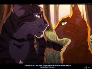 Warrior cats- It been so long