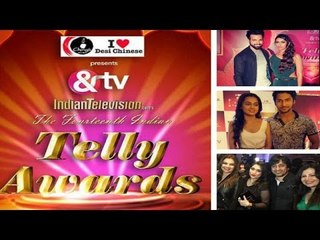 14th Indian Telly Awards Nomination Party With Celabs