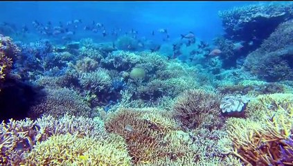 Voyage sous les mers 3D