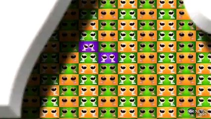 2 Sets of Twins for North Carolina Couple