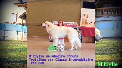 Mon premier Patous "M'Idylle de Mémoire d'Ours "