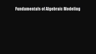 PDF Download Fundamentals of Algebraic Modeling Download Full Ebook
