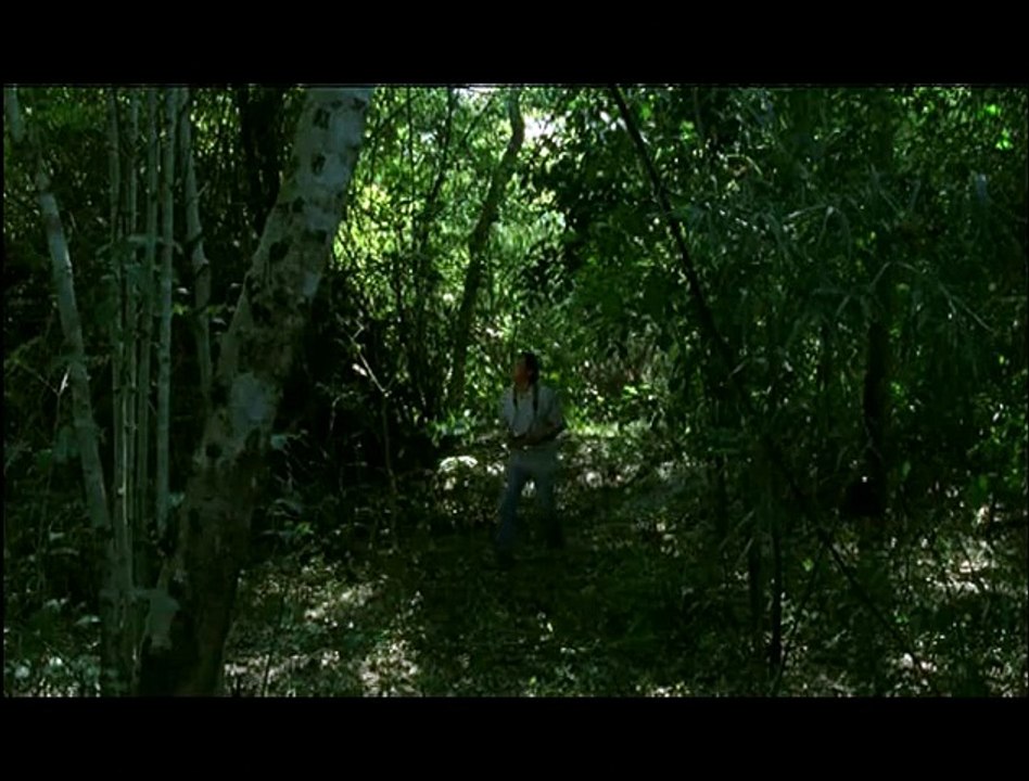 Oncle Boonmee (qui se souvient de ses vies antérieures)