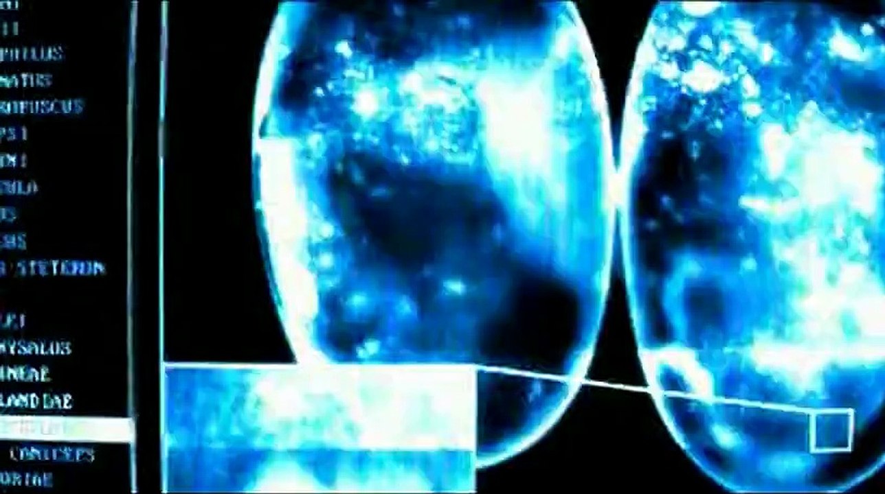 Splice