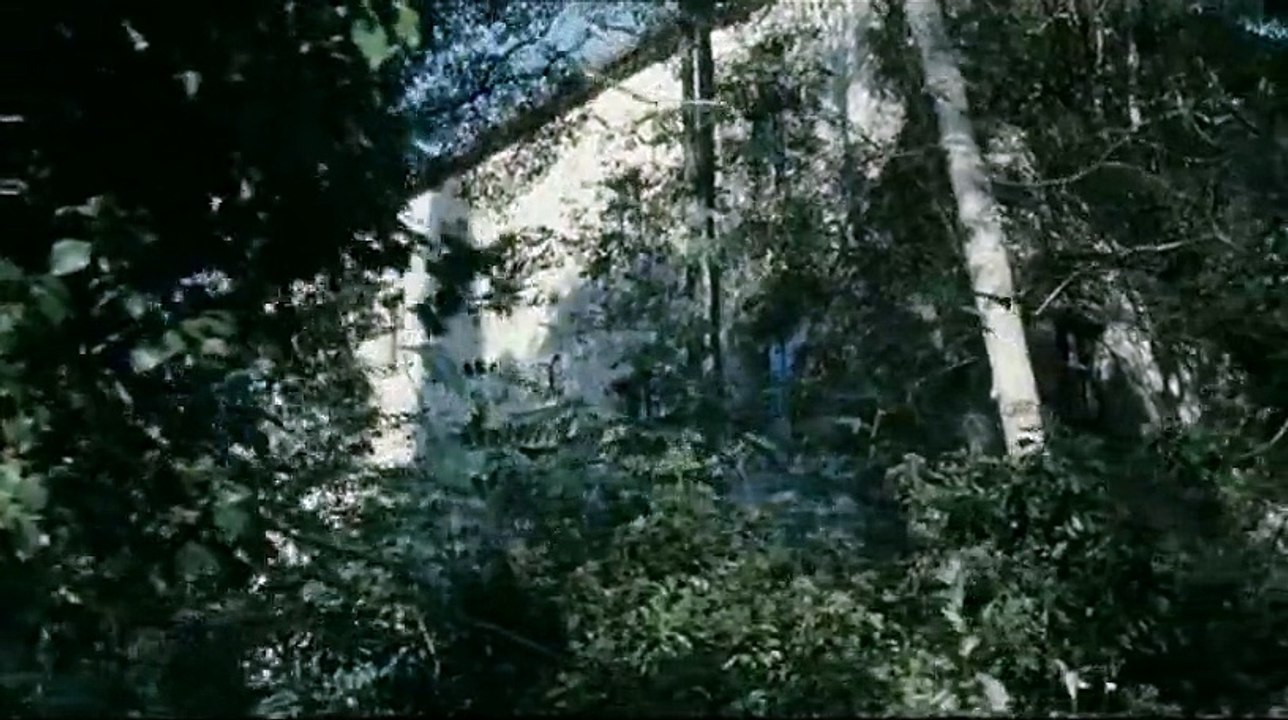 Au fond des bois