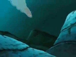 AMV Gai VS. Kisame
