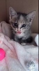 안양출장안마VIP출장마사지(OlO 2165 2776)미인천국 의왕출장안마#군포출장안마 출장서비스(안양전지역환영)