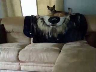 Now you see me now you don not