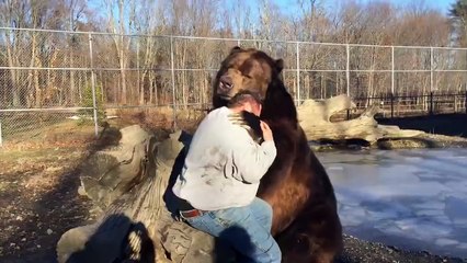 The friendship between a bear and a man