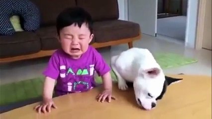Funny videos 2016 Try not to laugh best funny video # 68 (Funny Videos 720p)